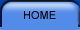 Home Button